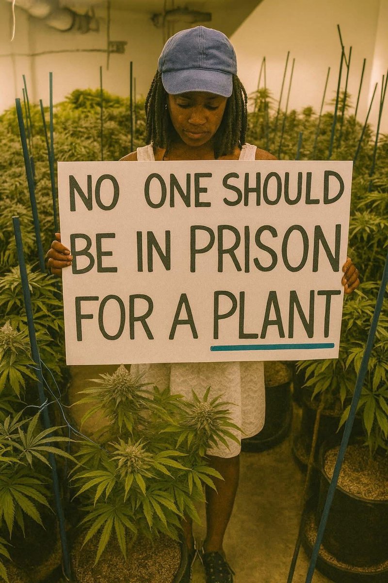 _StonersRUs_'s tweet image. Facts!!! 💯