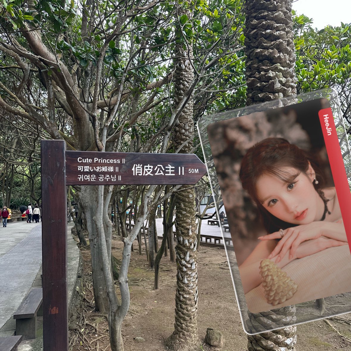 대만에서 희진이 자만추했어요