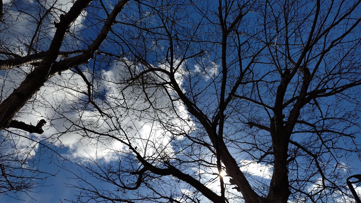 321hellosmile's tweet image. 今の空
雪も舞う