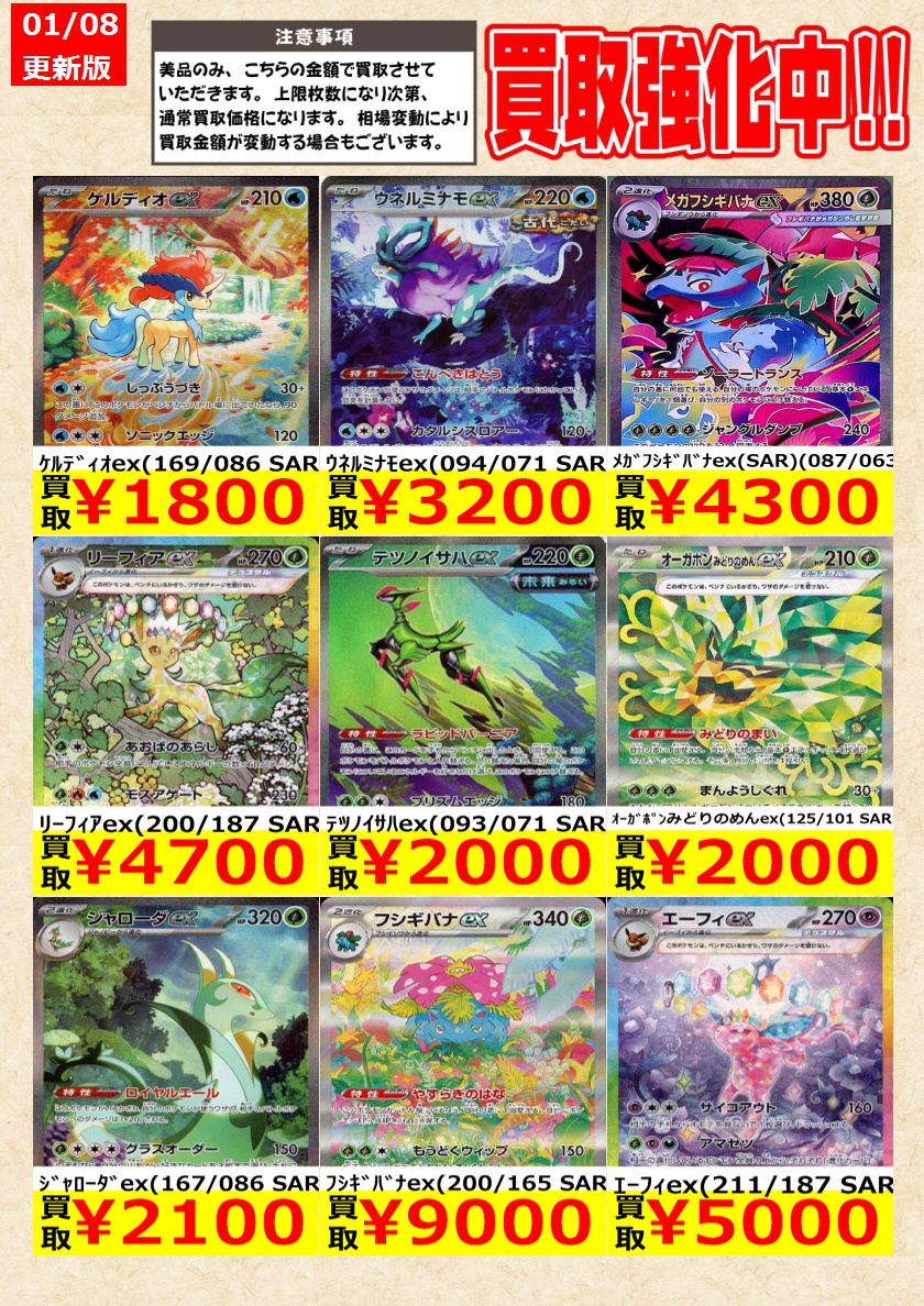 ポケモンカード】 ﾌﾞｰｽﾀｰex(202/187 SAR) ｸﾞﾚｲｼｱex(206/187 SAR) ﾘｰﾌｨｱ