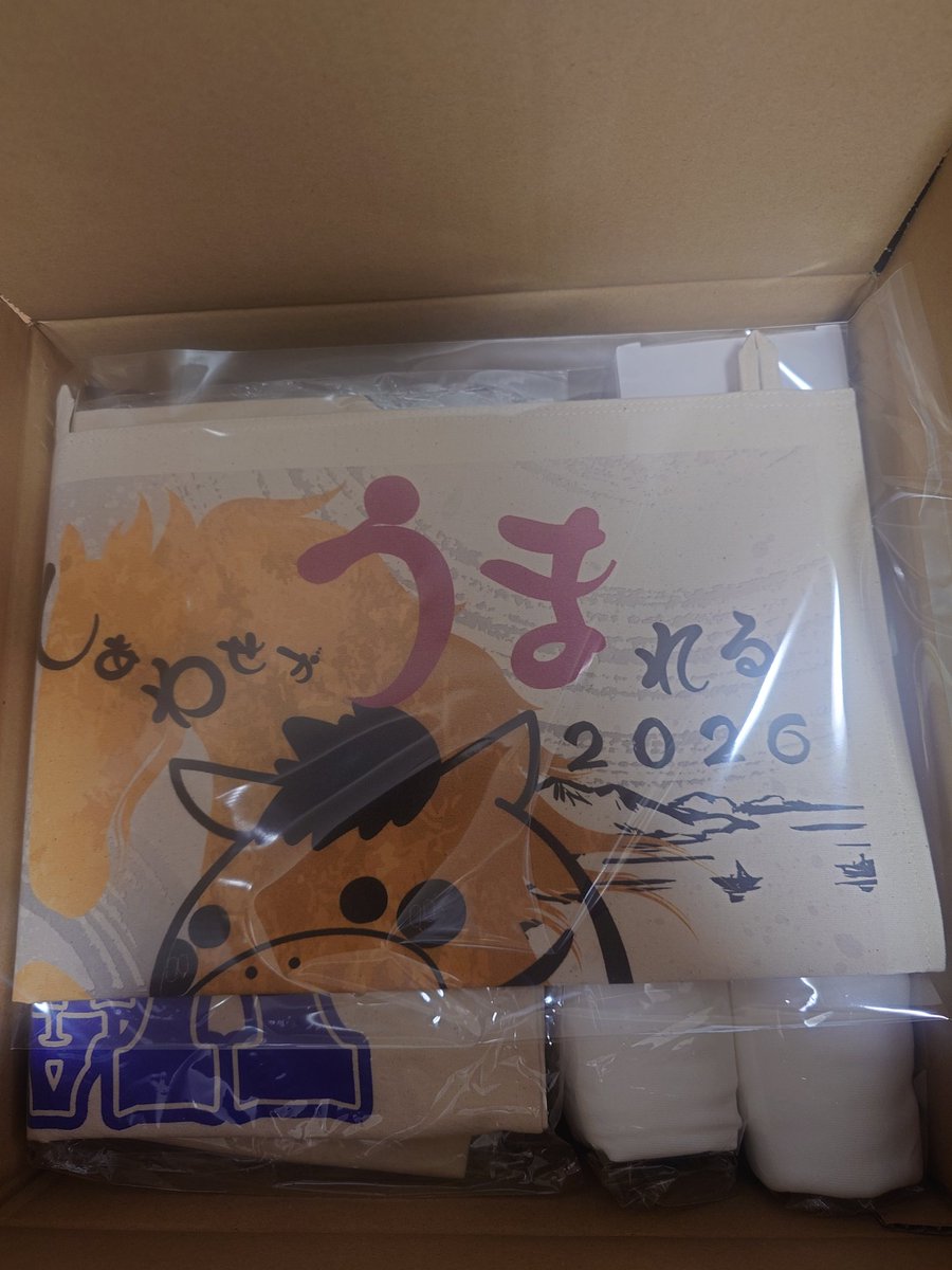 duklyon's tweet photo. 無事に届きました〜
（宛名とか諸々ちゃんと大丈夫でしたよ）
#AIMIVADER #あいみベイダー #chloettyyy https://t.co/2b79l94I3K