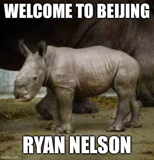 100% memes by 2027 (@memesnorrkoping) on Twitter photo 