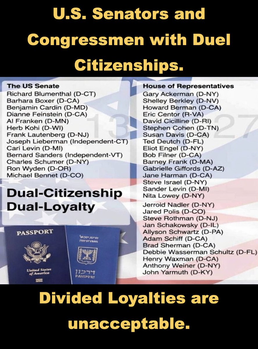 StevenKerwin's tweet photo. @nettermike Divided Loyalties are 100% unacceptable for higher Office, I have dual citizenship so I know, I have divided loyalties, less so now because of that POS StarmerLah. https://t.co/oKmVJPdAWp