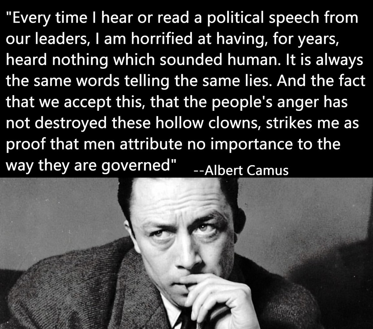 SteeleDaddy's tweet image. "hollow clowns" indeed