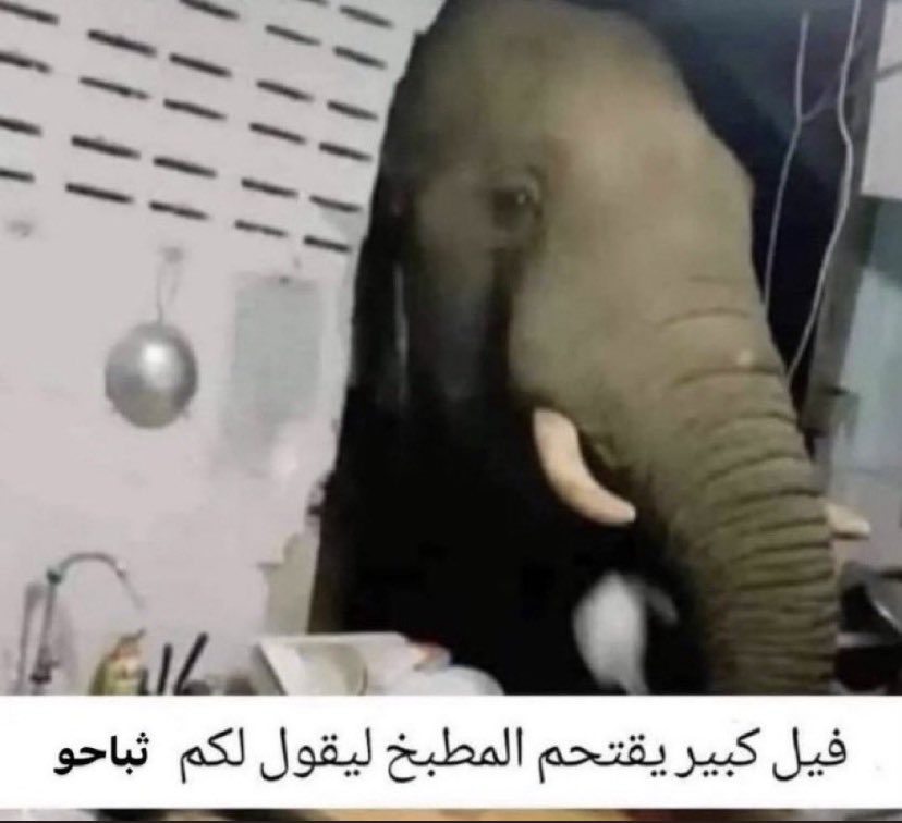 02__ree's tweet image. 