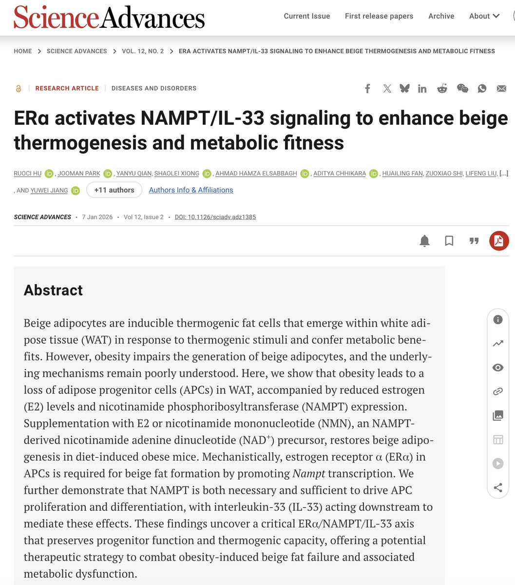 Yuwei Jiang tweet media