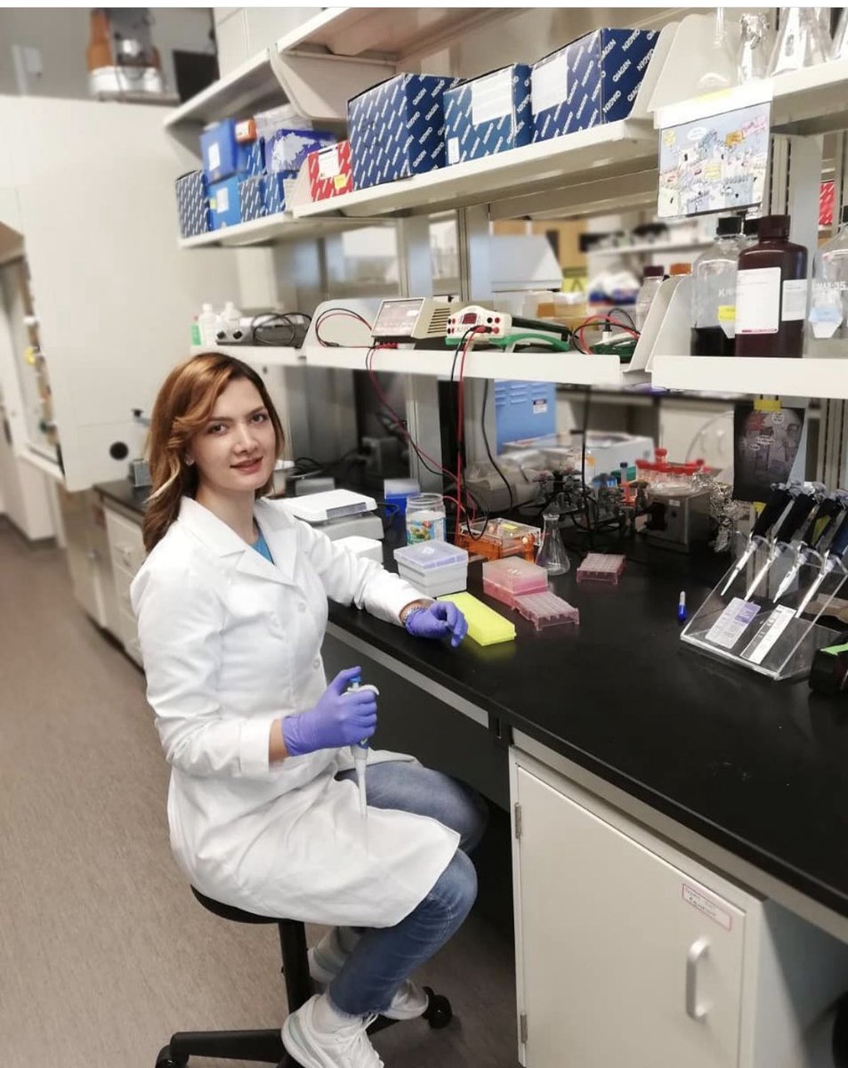 lisaporter2 tweet media