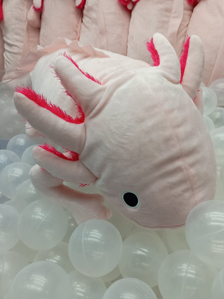 景品入荷情報】 #わくでかぬいぐるみ 珍獣捕獲シリーズ メガ