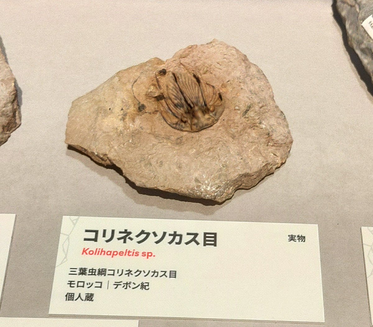 Hackyou_OL's tweet image. クソカス呼ばわり可哀想すぎる