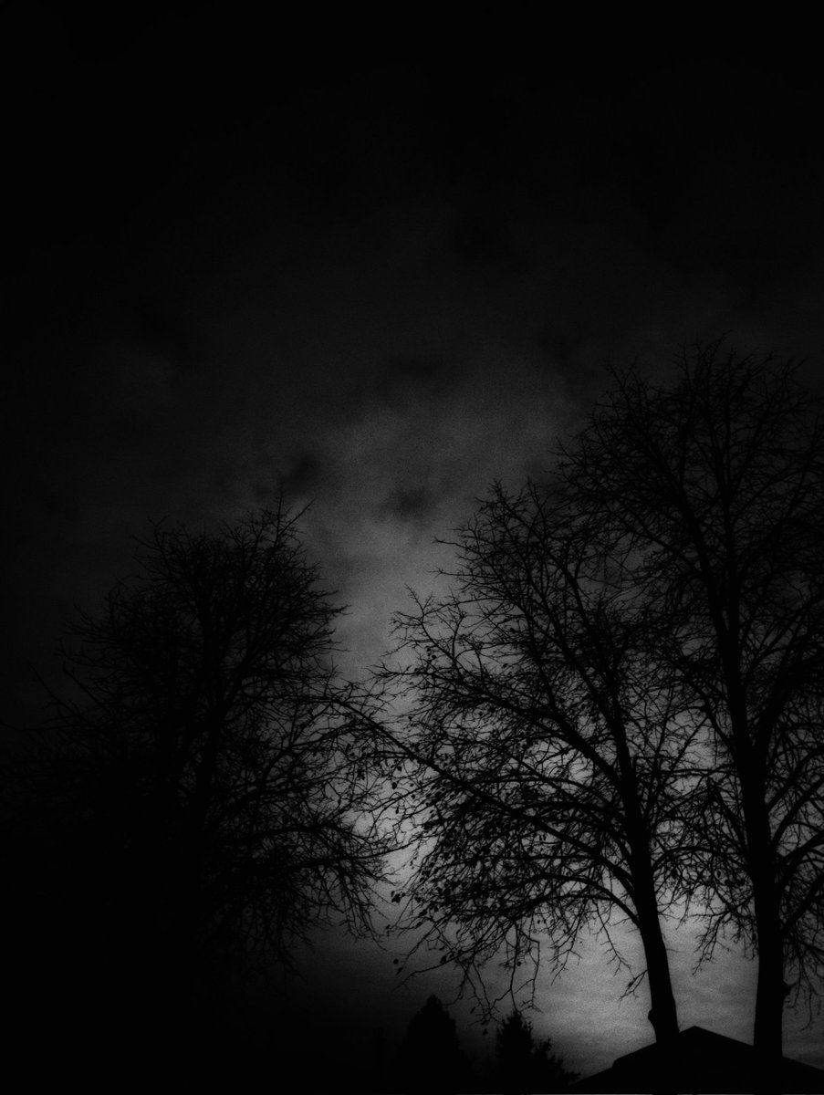 Red ☝🏼💀 tweet media