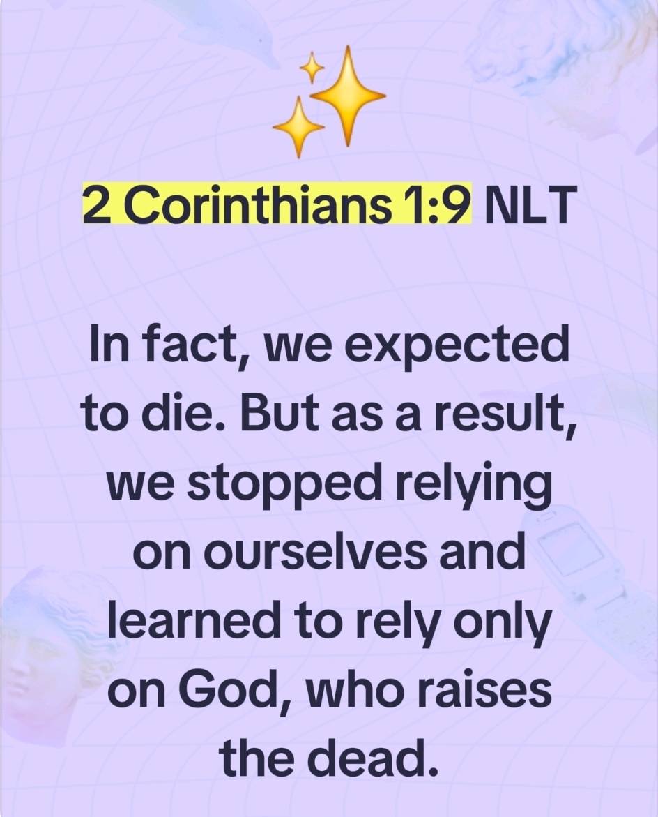 Tom Rasoki tweet media