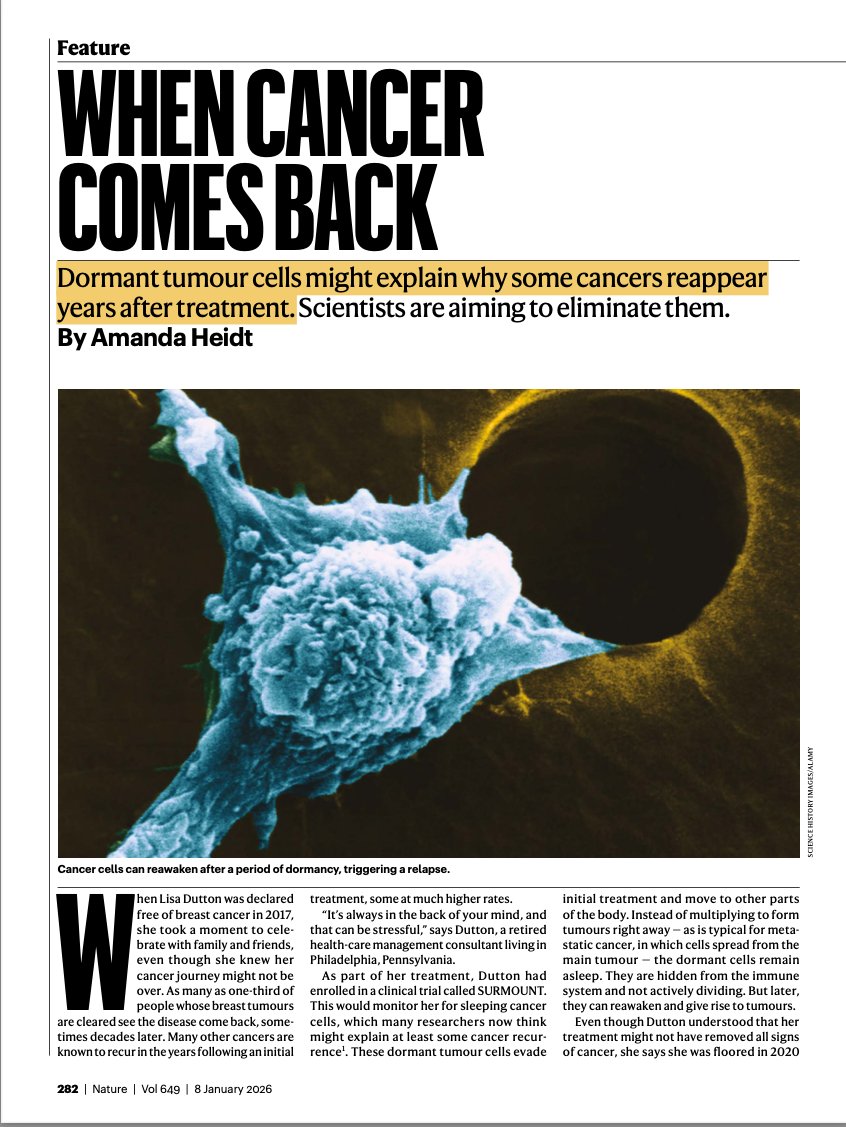 La presencia de células tumorales "latentes" podría explicar porque algunos cánceres reaparecen años después del tratamiento. La ciencia estudia  posibles tratamientos para hacerles frente como las células CAR-T, inhibidores de PERK o bloquear su autofagia.