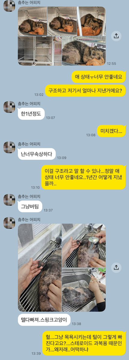 구조됐지만 방치된 아이… 보리를 살려주세요

1년 전 구조된 보리는, 구조 직후 쉼터에서 제대로 된 케어와 치료를 받지 못한 채 좁은 케이지 안에 방치되어 있었습니다.

그 사이 아이의 상태는 점점 악화되었고, 보리의 모습은 말 그대로 서서히 죽어가는 것처럼 보였습니다.