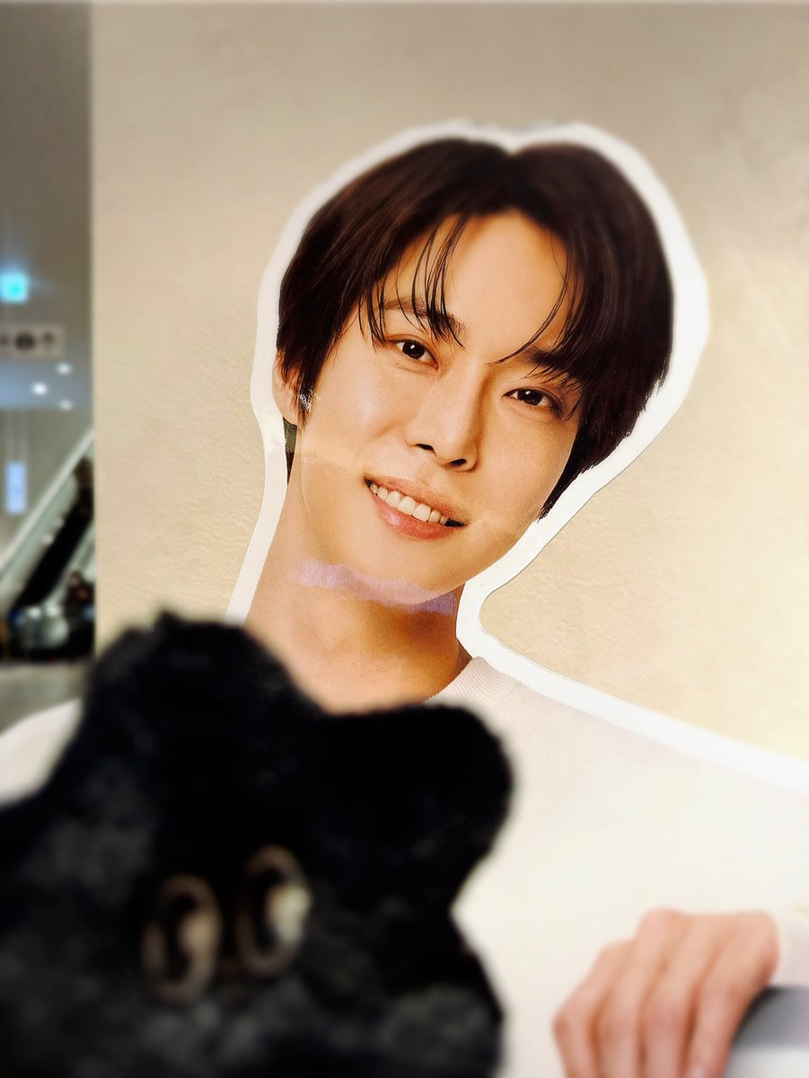 てるん (@mochimochijy) / Posts / X