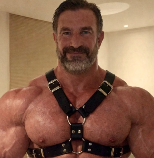 Dansereau Jacques (@muscleleatherff) on Twitter photo 