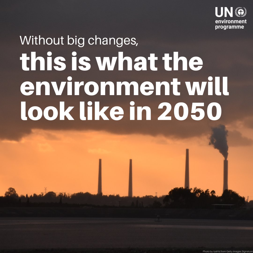 UN Environment Programme tweet media