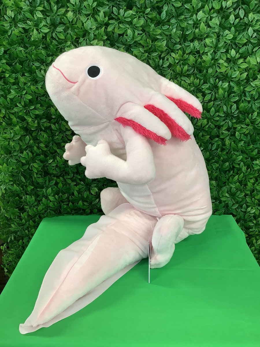 わくでかぬいぐるみ 珍獣捕獲シリーズ メガウーパールーパー わくでかぬいぐるみ 珍獣捕獲シリーズ〜メガウーパールーパー〜 - メルカリ