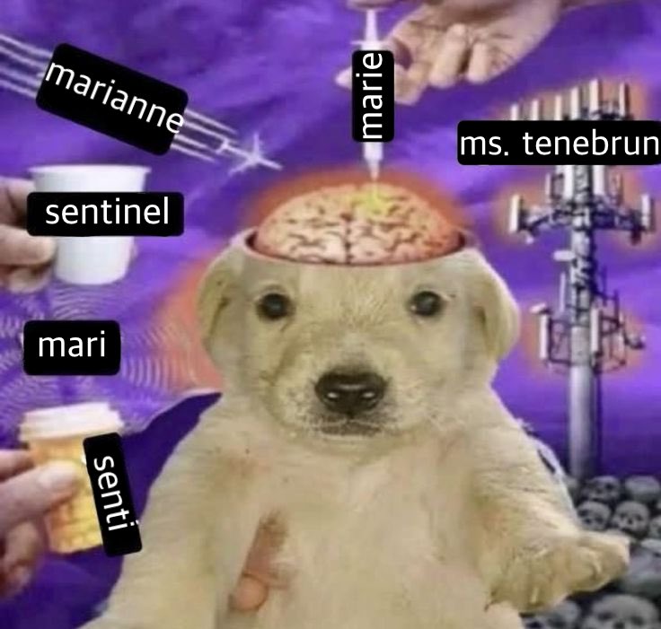 ちーちゃん54🥭 (@chichan54) / Posts / X