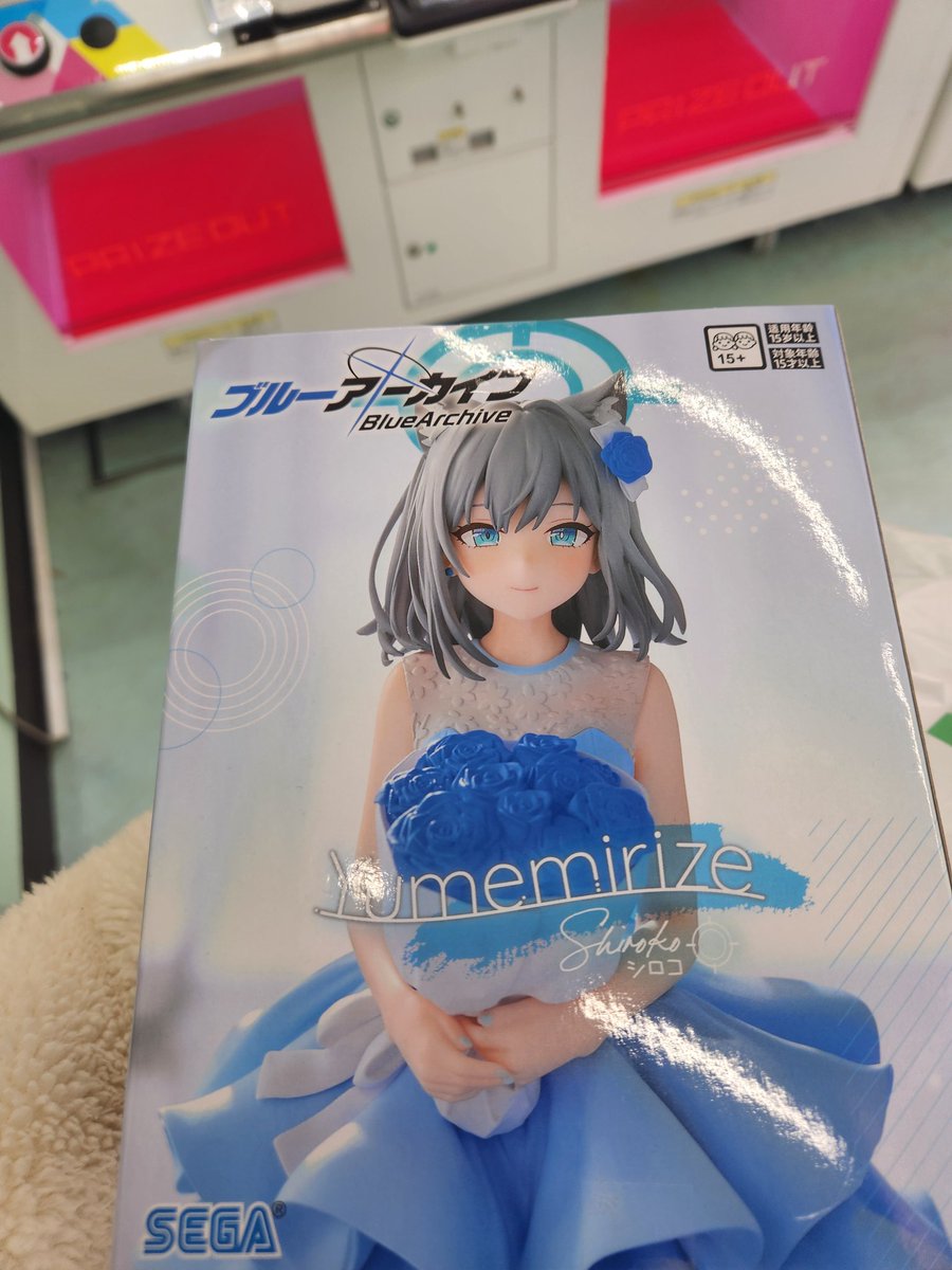 바다양 tweet media