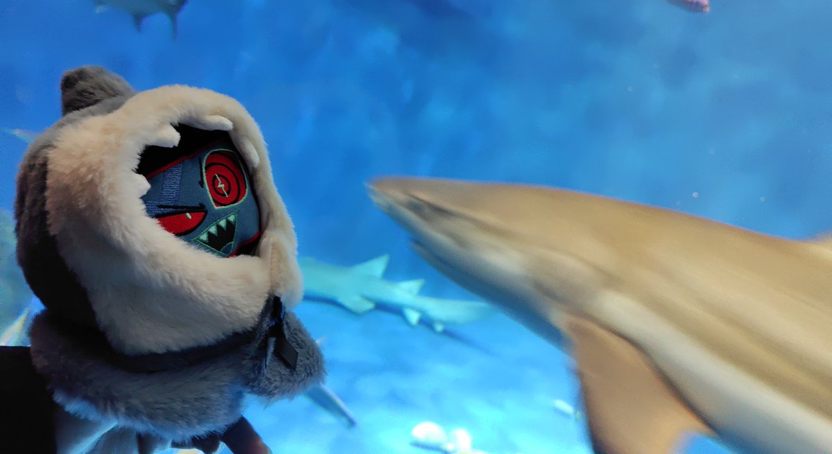 これはサメに会えて嬉しそうなヴォックスです。