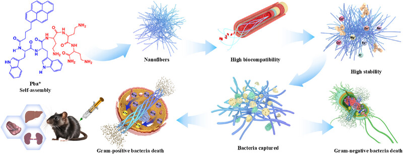 AggregateOA's tweet photo. "Overcoming #Clinical Barriers: Utilizing Self-#Assembly Systems to Break the #Protease Limitations of #Antimicrobial Peptides" by Yinfeng Lyu, Anshan Shan, et al. @WileyHealth
Check👉https://t.co/7vWF9kyAfr https://t.co/JHvWUDVPGz