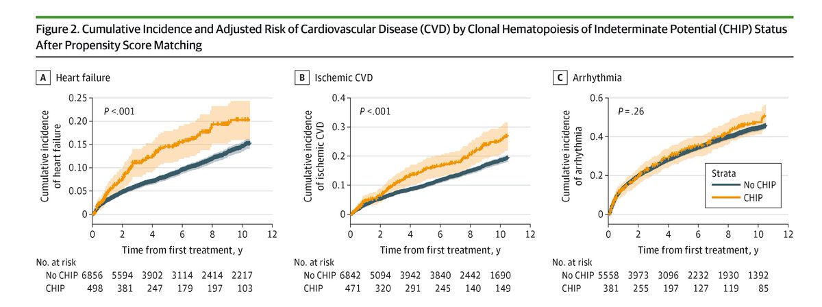 JAMA Oncology tweet media
