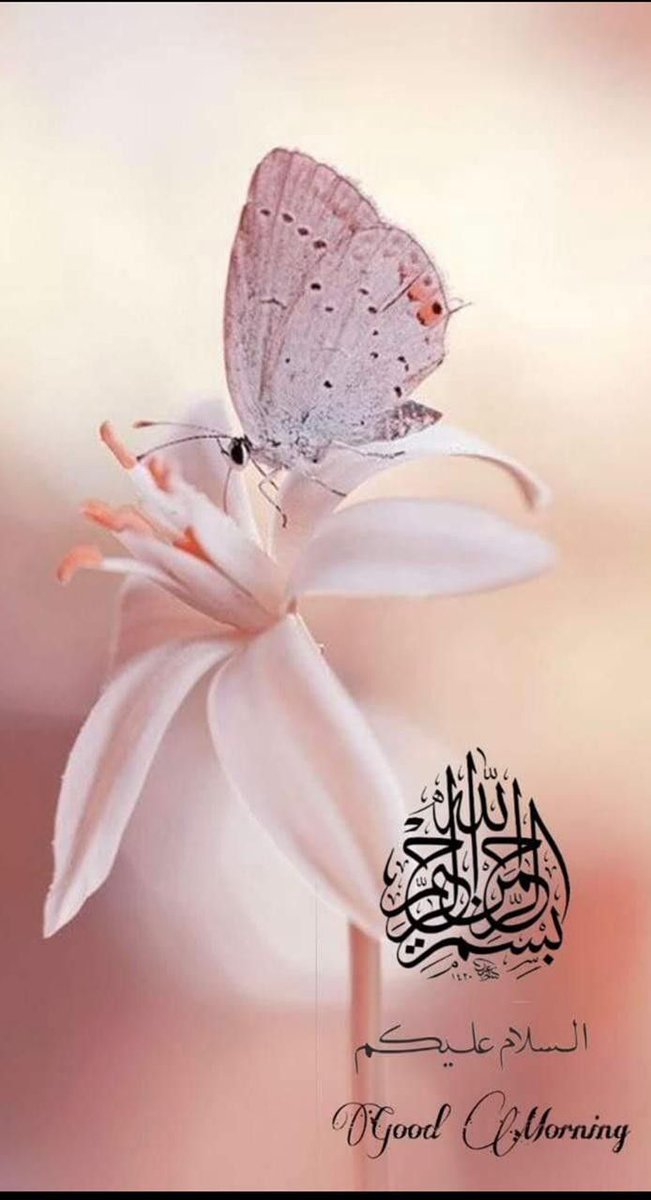 Soha Khan tweet media