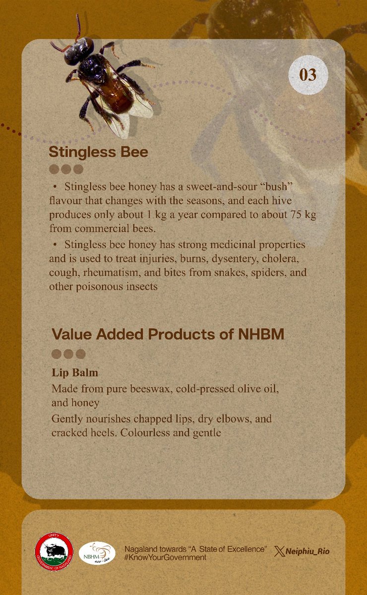 Neiphiu_Rio's tweet photo. The Nagaland Beekeeping &amp; Honey Mission promotes honey production, preserves indigenous apiculture traditions &amp; supports sustainable livelihoods. It works to strengthen scientific beekeeping practices while protecting diverse species &amp; their natural habitats. #KnowYourGovernment https://t.co/wSjAyTo8tR