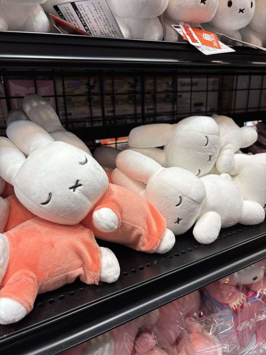 lammaki1's tweet photo. かわいいうさちゃん💕
🐰[#ミッフィー]🐰
新作グッズ入荷しました💖✨
💤【すやすやフレンド】💤
👜【バッグチャーム】👜
🤎ミルクチョコ
🩷イチゴチョコ
そしてオススメは・・
四足歩行が愛くるしい
ぬいぐるみです🥰
他にもミッフィーグッズ
たくさん展開中です✨✨
是非遊びに来てくださいね☺️✨ https://t.co/YuIrKJQxkT