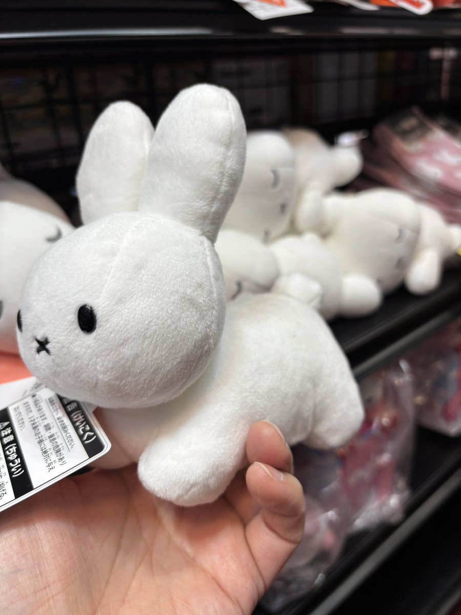 lammaki1's tweet photo. かわいいうさちゃん💕
🐰[#ミッフィー]🐰
新作グッズ入荷しました💖✨
💤【すやすやフレンド】💤
👜【バッグチャーム】👜
🤎ミルクチョコ
🩷イチゴチョコ
そしてオススメは・・
四足歩行が愛くるしい
ぬいぐるみです🥰
他にもミッフィーグッズ
たくさん展開中です✨✨
是非遊びに来てくださいね☺️✨ https://t.co/YuIrKJQxkT