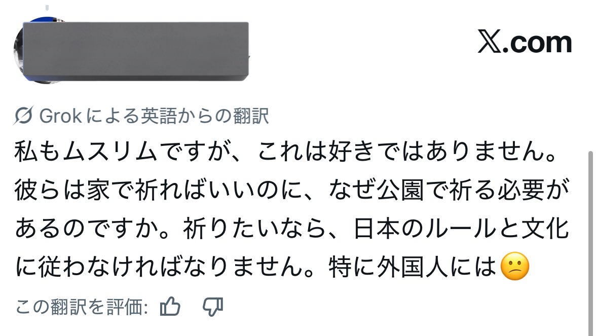 igari_tomoka3's tweet image. ムスリムの方ですら「なぜ公園でやるのか？家でお祈りすればいいのに」と発言していることは非常に重要なご意見だと思います。
どの神を信仰されるかは自由ですが、家でお祈りできるならばそうして欲しいです。
公園は市民の憩いの場所であり、子供たちの発育・教育にとって大切な場所です。