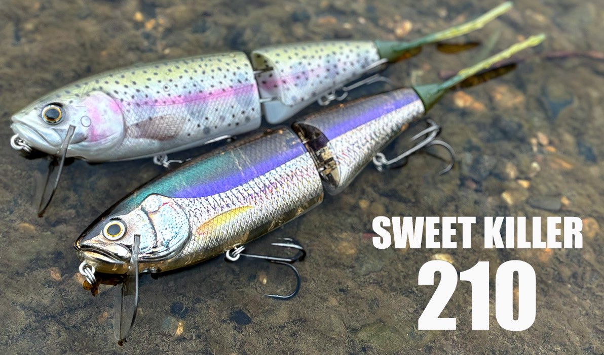 【（リクにお応えして）再出品‼️】スイートキラー210限定セット