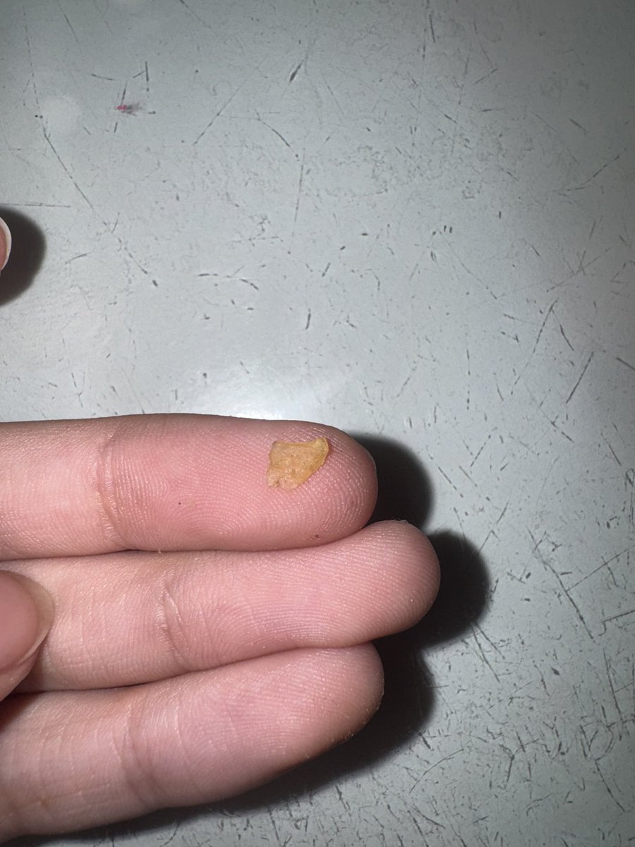 🥭Hailey🥭 tweet media