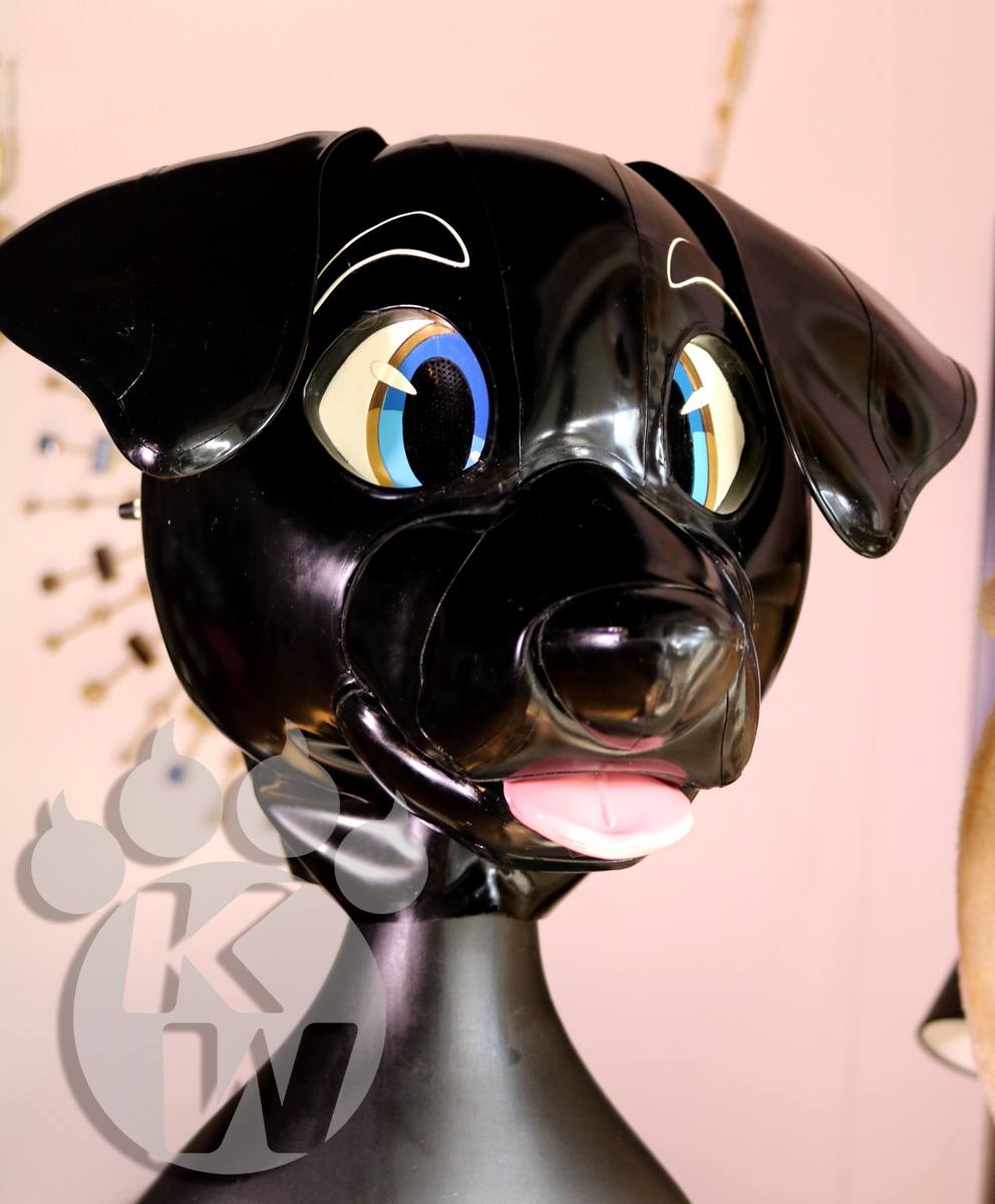 karinKariwanz's tweet image. Black Lab🐶👅🐶