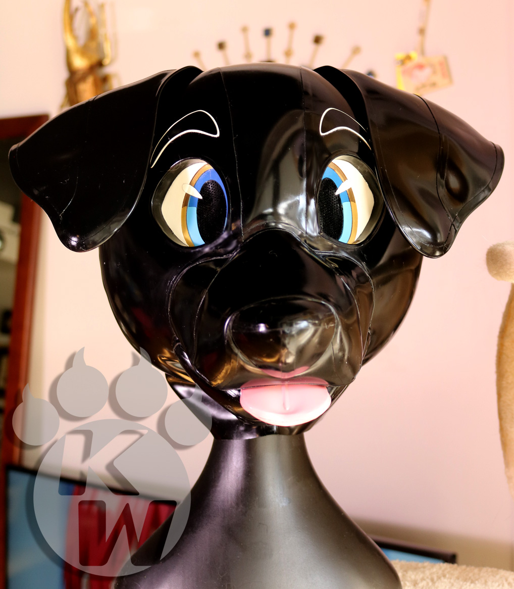 karinKariwanz's tweet image. Black Lab🐶👅🐶