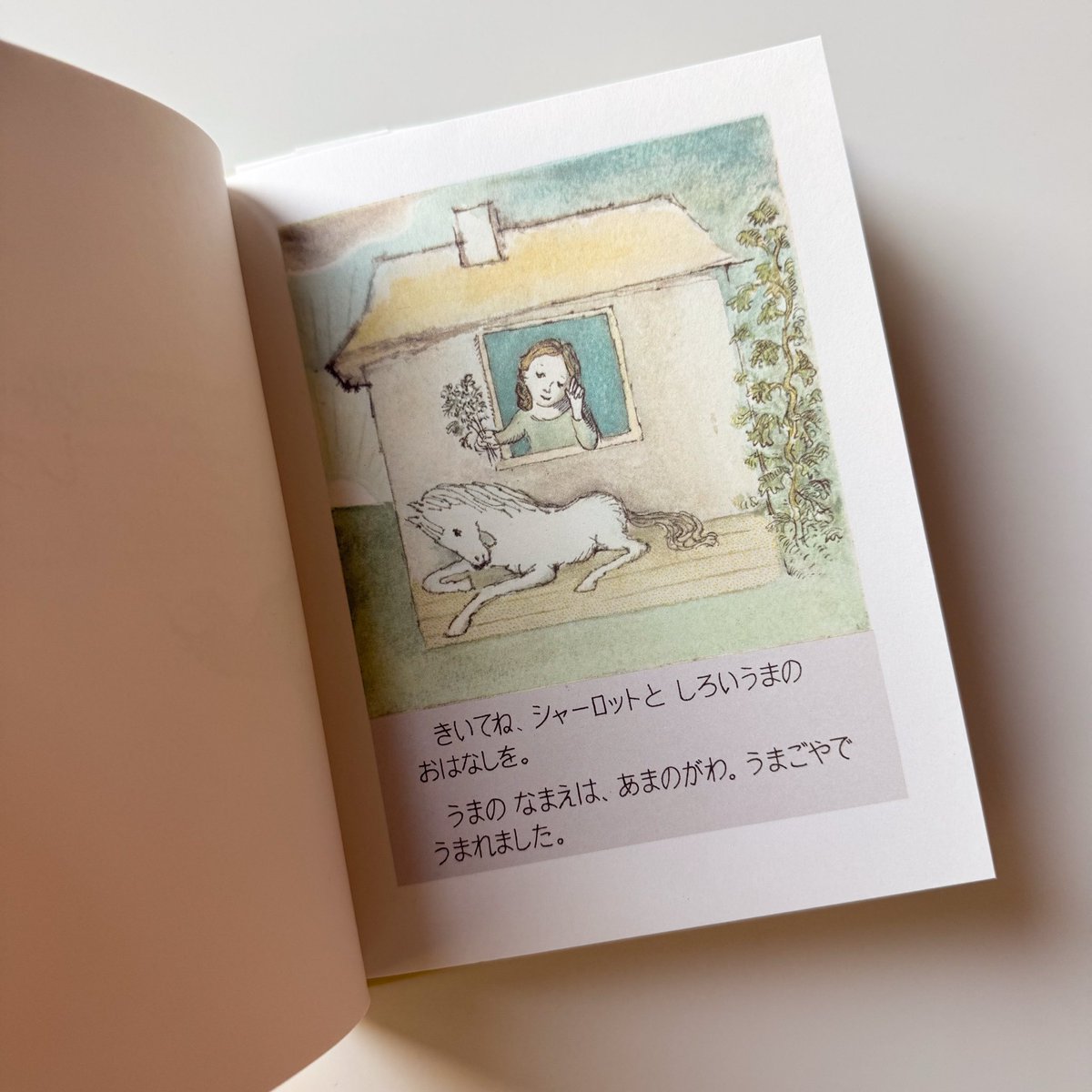 고스트북스 tweet media