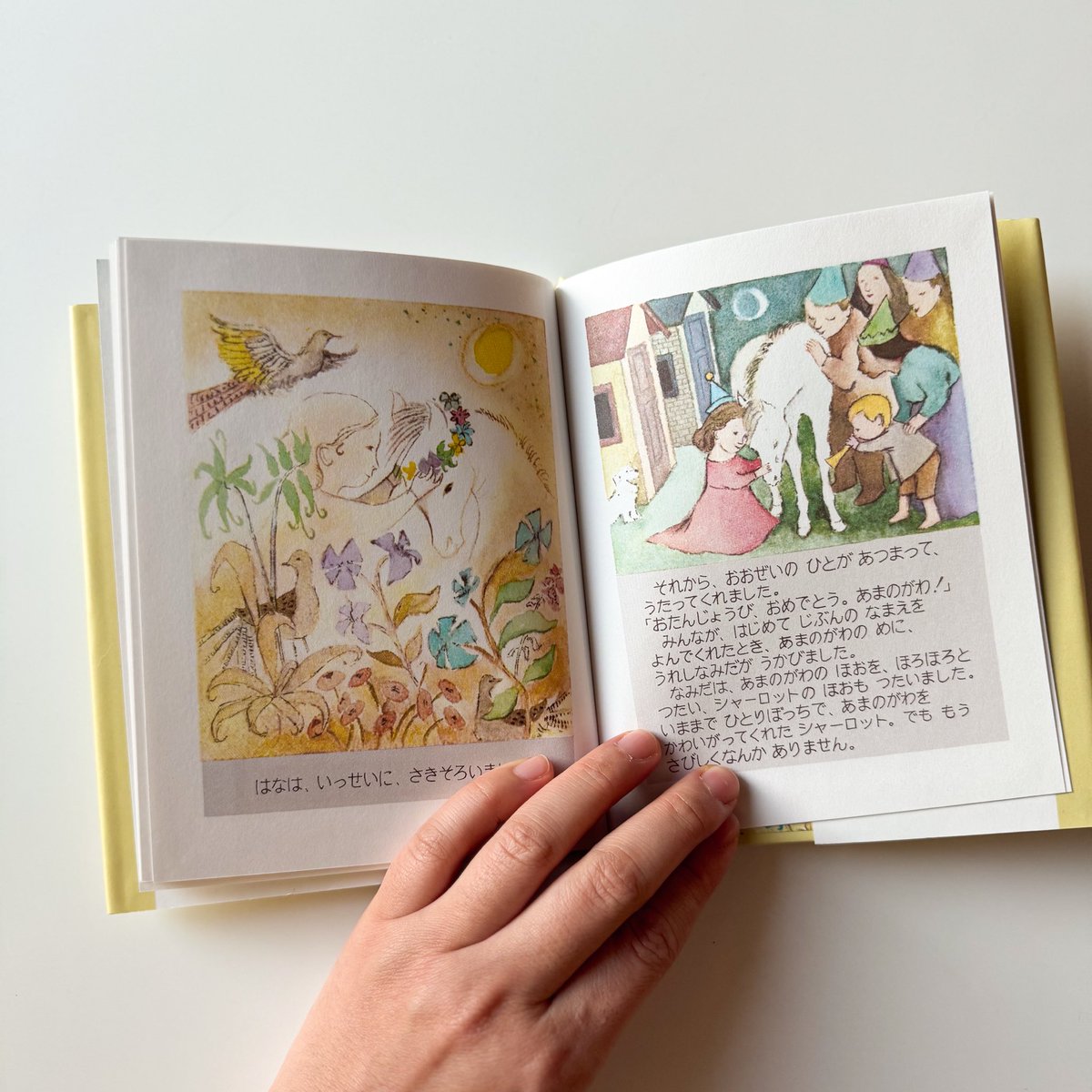 고스트북스 tweet media