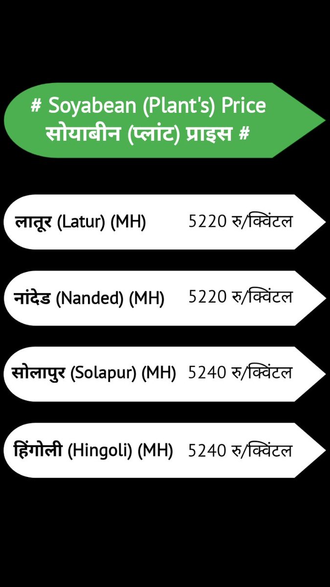 CommodityPulse's tweet image. 08-01-2026 (मॉर्निंग ट्रेंड) सोयाबीन का भाव #सोयाबीन #सोयाबीन_बाजार_भाव_आज