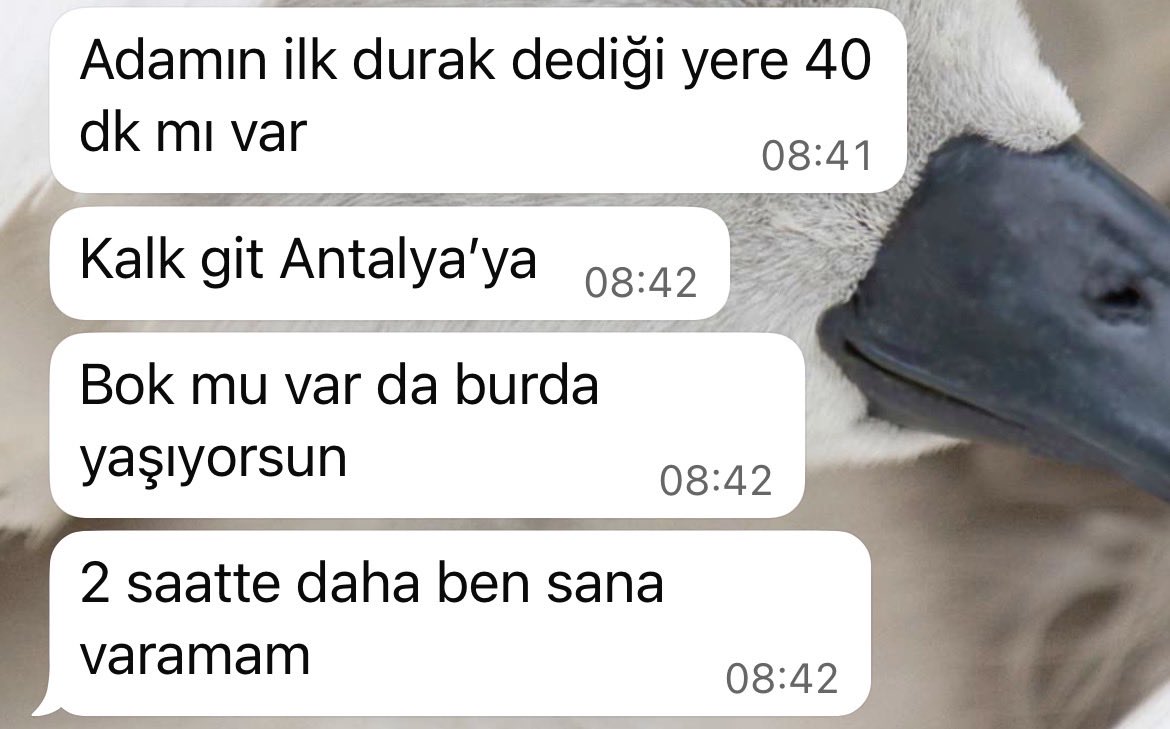 Ben sana gelemem gelemem gelemem nolur anlaaaa