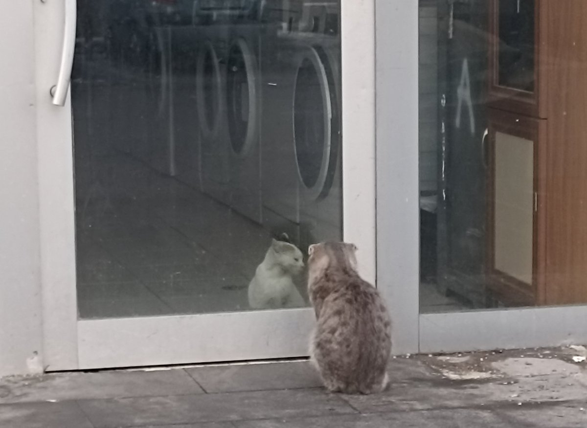withaysey's tweet photo. Vuslatı bekleyenlerde bugün.. https://t.co/WdCMP0gF8j
