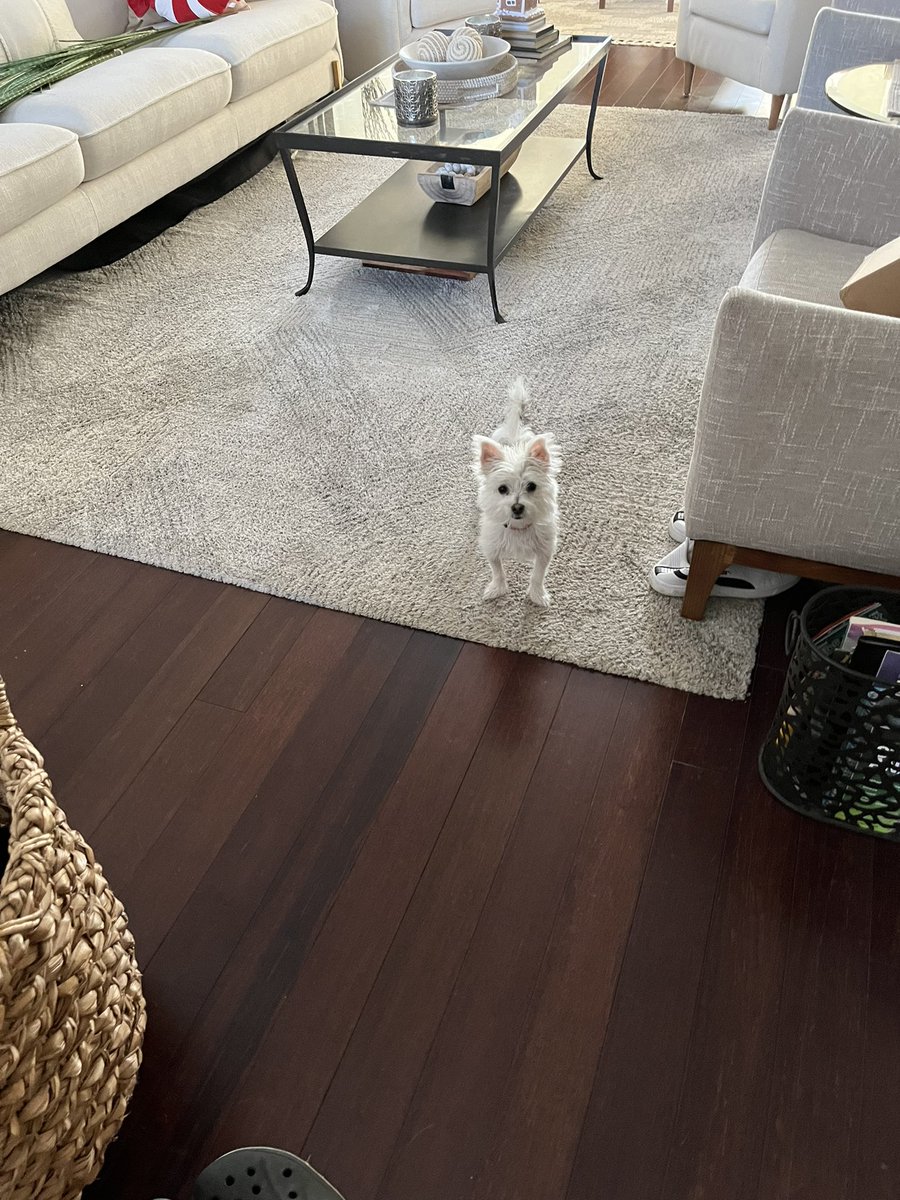 nug (@iilnugs) on Twitter photo 