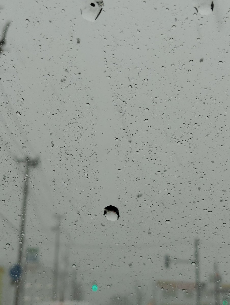 吹雪いて来ました😱

雷も鳴ったりと・・・😮‍💨

やはり荒れるんですね☃❄

お帰り時は
      お気を付けて・・・😊

早いですが・・・

佳い木曜日の夜を
    暖かにお過ごし下さい🥰

用事終わったし帰ろう🐸