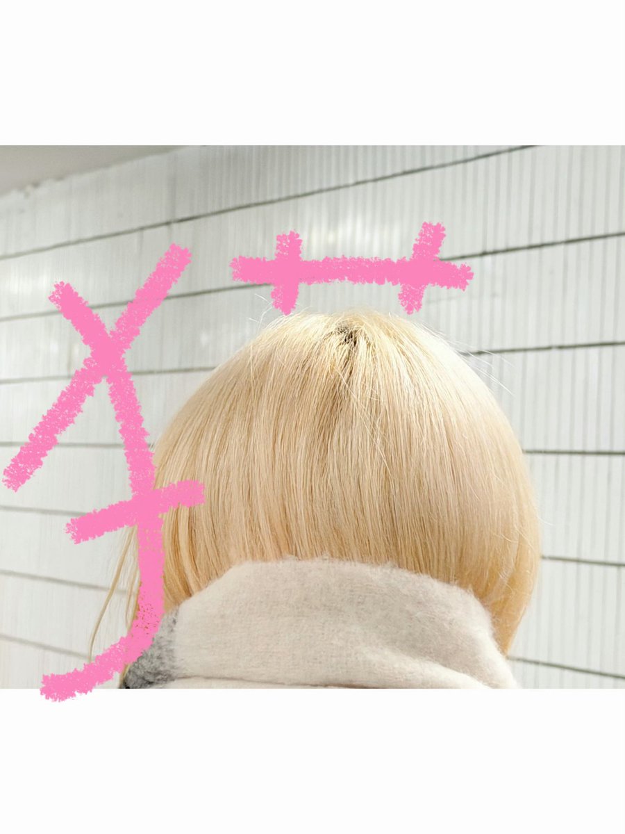 83cause's tweet image. 거의뭐두쫀쿠네