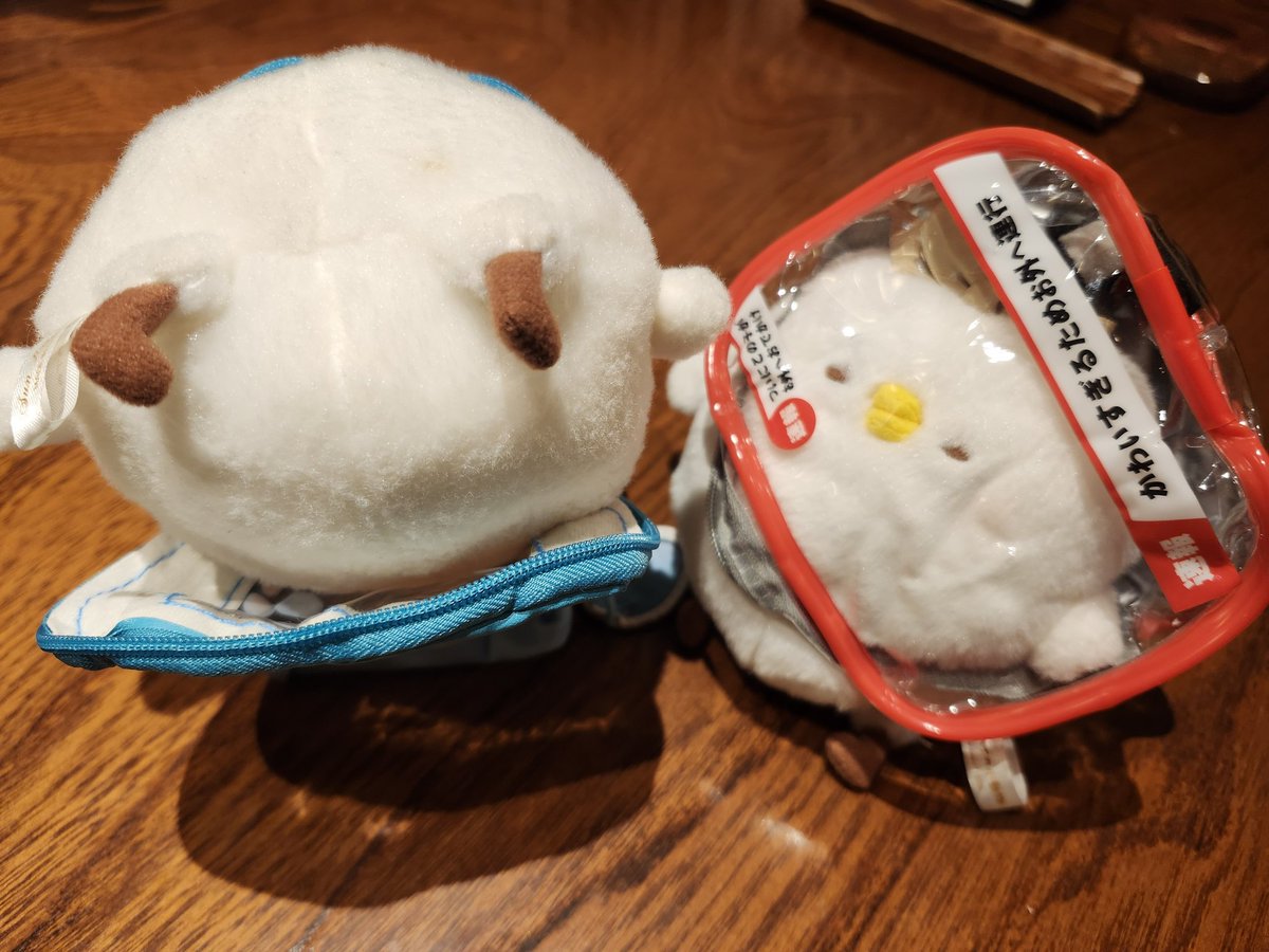 みちみちぽーちだいにだん？をもらいました✨
カネゴンちゃんいつもありがとうございます。

ちースケはけっこうはいれていますが、ぼくはもうぼくなんだかふんわりちゃんなんだかわからなくないですか？？
ちょっとちえり、もうすこしかんがえていれてくださいよむぎゅう