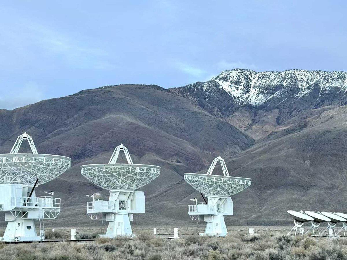Peijin Zhang 📡☀️ tweet media