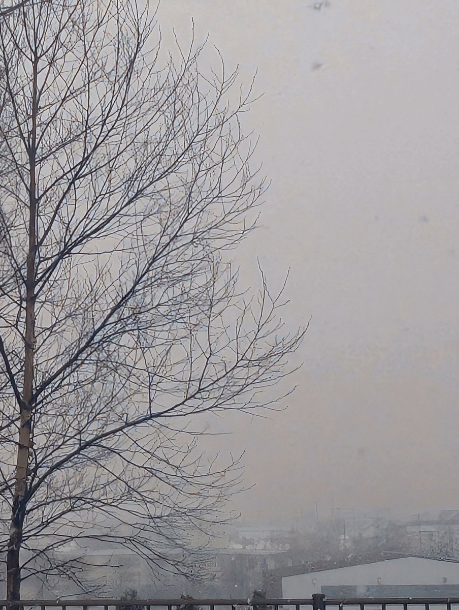 nick_trigger11's tweet image. さっきまでめっちゃ晴れてたのに、雪降ってきた(´･ω･`) 
 #イマソラ
 #スマホ写真