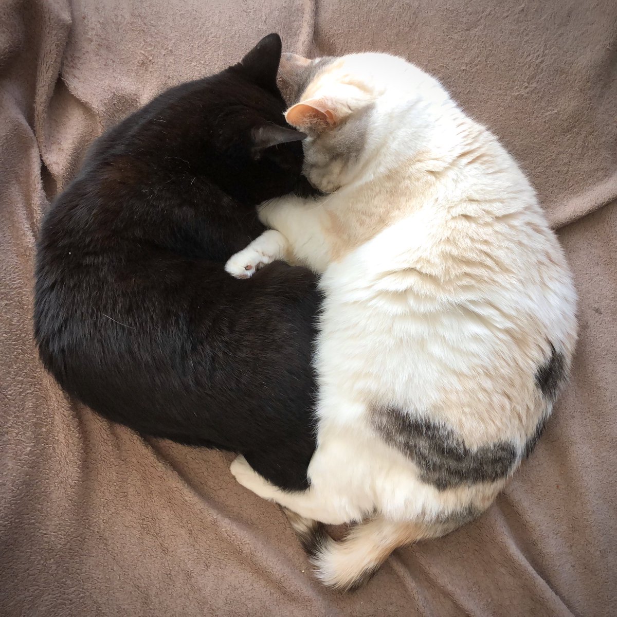 まあ、手術を受けて随分と何年経つけど、少しでも前に向かってくれるのは、やはり嬉しいな^ ^