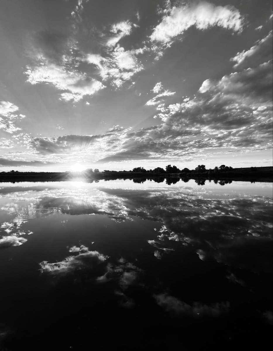 D Miller tweet media