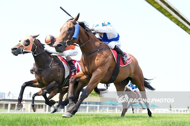 Salanitri Racing tweet media