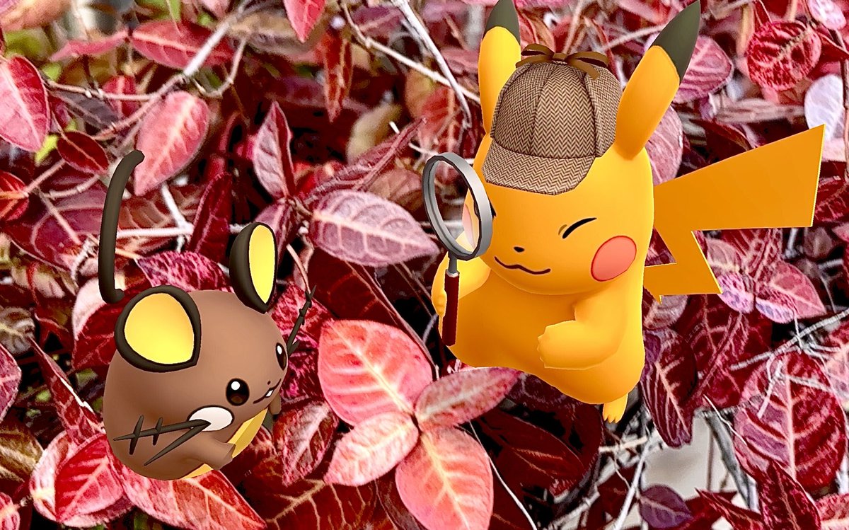 Moonlight tweet media